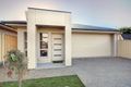 Property photo of 6 Renfrey Avenue Newton SA 5074