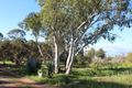 Property photo of 995 Balaklava Road Bowmans SA 5550