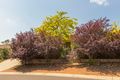 Property photo of 1 Ifould Place Theodore ACT 2905