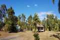 Property photo of 37 Williams Avenue Cardwell QLD 4849