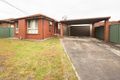 Property photo of 39 Murchison Crescent Clayton South VIC 3169