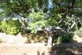 Property photo of 41 Richmond Road Westbourne Park SA 5041