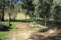 Property photo of 2169 Stewarts Brook Road Stewarts Brook NSW 2337