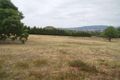 Property photo of 7 Mountview Close Pyalong VIC 3521