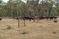 Property photo of 200 Sullivan Road Edith River NT 0852