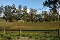 Property photo of 41 Emu Rise Road Keith SA 5267