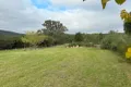Property photo of 374 Back Creek Road Severnlea QLD 4380