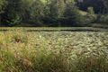 Property photo of 198 Rowlands Creek Road Uki NSW 2484