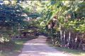 Property photo of 198 Rowlands Creek Road Uki NSW 2484