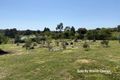 Property photo of 5 Pottery Road Campbells Creek VIC 3451