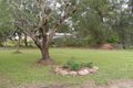 Property photo of 11 Lyons Road Kurwongbah QLD 4503