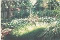 Property photo of 23 Amiens Street Gladesville NSW 2111