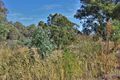 Property photo of LOT 101 Michael Street Yankalilla SA 5203