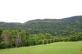 Property photo of 3137 Nerang Murwillumbah Road Natural Bridge QLD 4211
