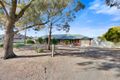 Property photo of 52 Borrow Street Freeling SA 5372