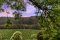 Property photo of 33 Smiths Road Forest Range SA 5139
