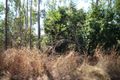 Property photo of 8 Pak Place Wagait Beach NT 0822