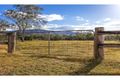 Property photo of 56 Hunchy Road Palmwoods QLD 4555