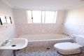 Property photo of 1/49 Denman Avenue Wiley Park NSW 2195