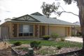 Property photo of 193 Victoria Parade Bordertown SA 5268