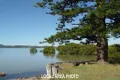 Property photo of 15 Peace Parade Pindimar NSW 2324