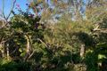 Property photo of 19 Kanowar Avenue East Killara NSW 2071
