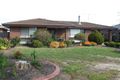 Property photo of 12 Birregun Court Traralgon VIC 3844