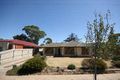 Property photo of 8 Allambee Avenue Edwardstown SA 5039