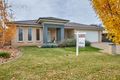 Property photo of 8 Bogong Crescent Tatton NSW 2650