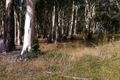 Property photo of 269 Top Swamp Road Lachlan TAS 7140