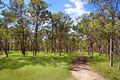 Property photo of 504 Innisplain Road Running Creek QLD 4287