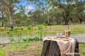 Property photo of 63 Old Gold Mines Road Sutton NSW 2620