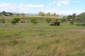 Property photo of 9254 Mount Lindesay Highway Tamrookum QLD 4285