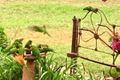 Property photo of 25 Serisier Road Leslie QLD 4370
