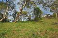 Property photo of 14 East Street Dodges Ferry TAS 7173