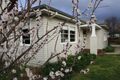 Property photo of 8-10 Kitchen Street Mansfield VIC 3722