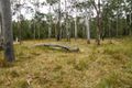 Property photo of 8 Blacksmith Shop Road Newton Boyd NSW 2370