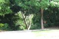 Property photo of 12A Hillside Crescent Epping NSW 2121