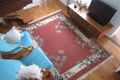 Property photo of 8 Justin Street Lilyfield NSW 2040