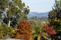 Property photo of 325 Wirraway Street East Albury NSW 2640