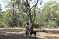 Property photo of 679 Nubeena Road Koonya TAS 7187