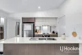 Property photo of 97 Buxton Avenue Yarrabilba QLD 4207