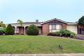 Property photo of 10 Doncaster Avenue Newton SA 5074