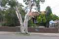 Property photo of 71 Wellbank Street Concord NSW 2137