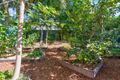 Property photo of 19 Iris Street Holland Park West QLD 4121
