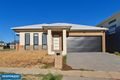 Property photo of 1 Foy Street Forde ACT 2914