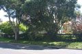 Property photo of 44 Condong Street Murwillumbah NSW 2484