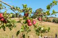 Property photo of 1289 Murchison Highway Yolla TAS 7325