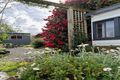 Property photo of 11 Ruby Flats Road Ringarooma TAS 7263