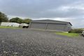 Property photo of 11 Ruby Flats Road Ringarooma TAS 7263